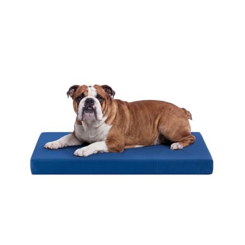 Tough Ripstop Orthopedic Crate Bed (Medium (35" L x 22" W x 3" H) / Blue Quartz)