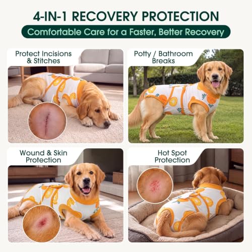 Recovery Suit for Dogs Cats (M (Back:13.4-16.1'', Weight:14-25 Lb) / Pineapple Citrus)