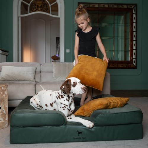 Large Dog Bed (Green - LE / X-Large)