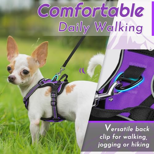 Dog Harness for Small Dogs (X-Small / Purple)