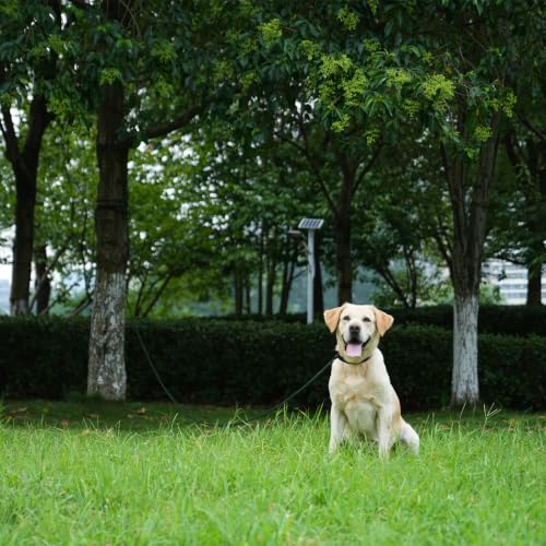 Long Dog Leash (Blue / 10FT*0.4" Single Handle)