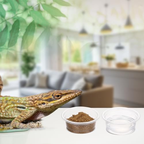 1000 Pcs 0.5 oz Gecko Feeding Cups Small Gecko Food and Water Cups Reptile Feeding Bowls Plastic Bearded Dragon Food Bowl for Lizard Small Pet Ledge Accessories (Transparent)