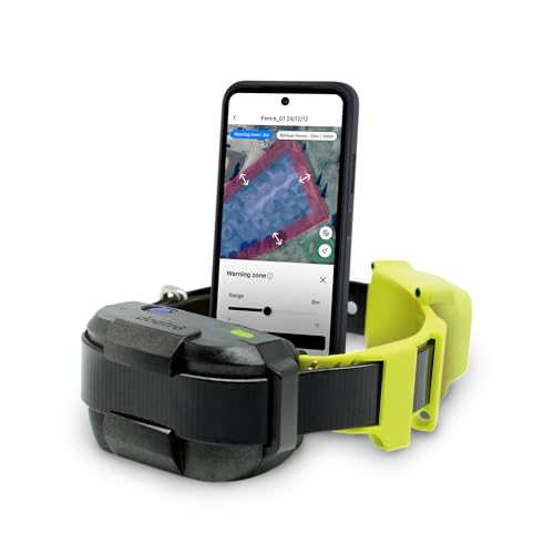 GPS Fence No Subscription (GPS Fence (No Flags))
