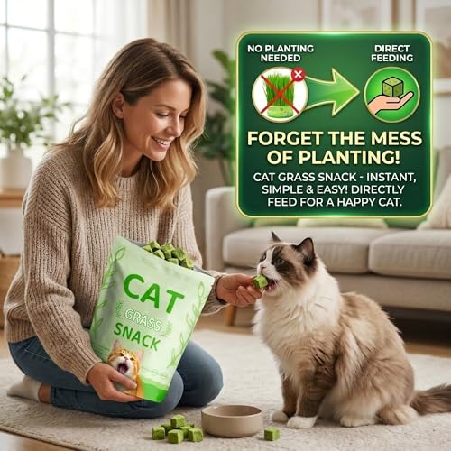 Cat Grass Treat Indoor 60g (2.12 Ounce (Pack of 1))