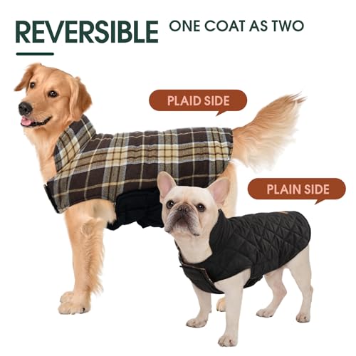 Waterproof Dog Coat (New Brown / Medium (Pack of 1))