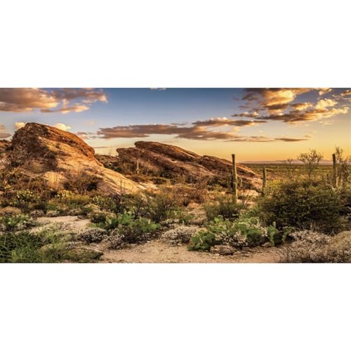 48x20 in Desert Reptile Habitat Backdrop Oasis Cactus Terrarium Background (48x20 inches)