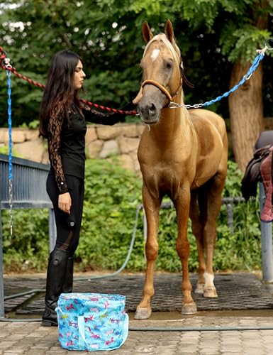 Horse Grooming Kit (Blue)
