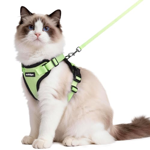 Cat Harness and Leash Set (M / Light Green)