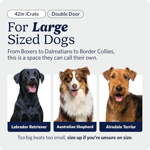 Midwest 42 Inch Double Door iCrate (Black - Double Door)
