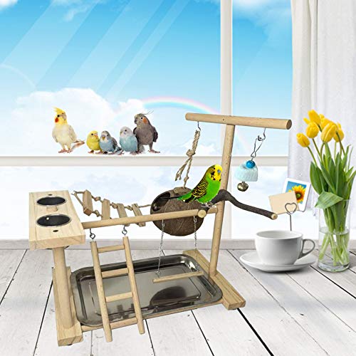 Bird Playground Parakeet Play Stand Wooden Parrot Perch Gym