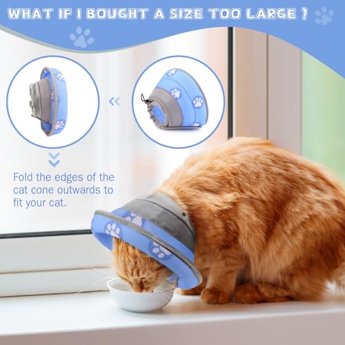 Cat Cone Collar Soft Elizabethan Collar for Surgery Recovery (Blue / L (Neck 9"-11"))