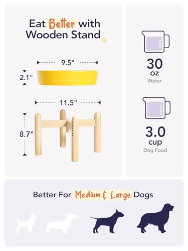 Ceramic Slow Feeder Dog Bowls Elevated (Star Yellow+Stand / L-3 Cups)