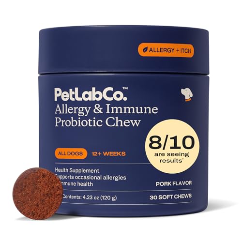 Allergy & Immune Probiotic Chews (Single Pack)