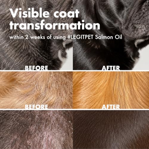 Wild Alaskan Salmon Oil for Dogs & Cats (32oz)