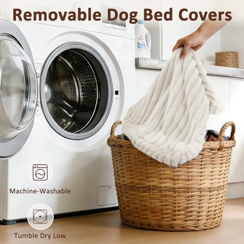Dog Beds Large Sized Dog (Cream / L(35"x23"x4"))