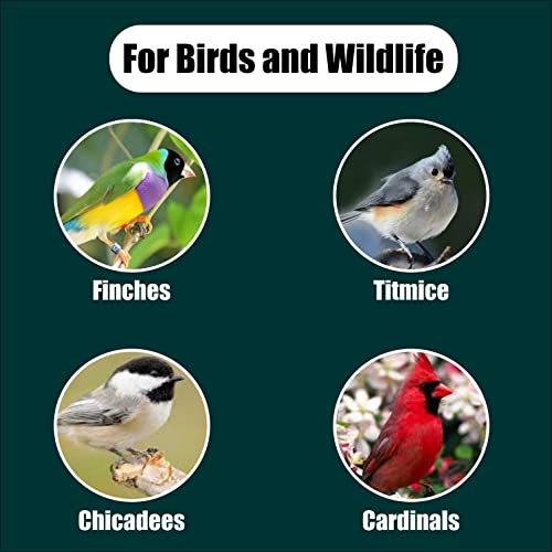 Wildlife Black Oil Sunflower Seeds for Birds and Wildlife