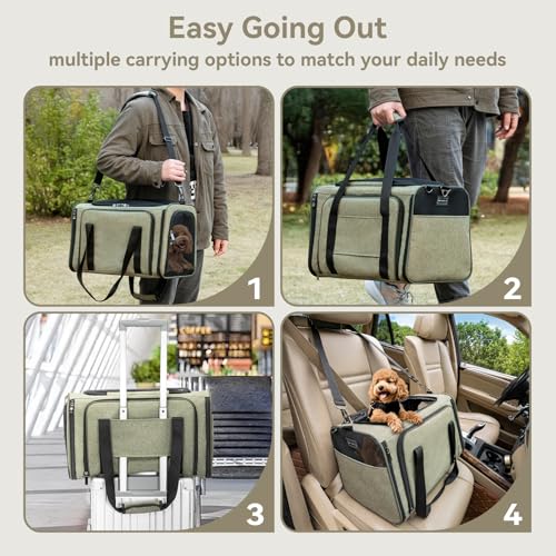 Medium Double Expandable Cat Carrier for Cats and Small Dogs (17.0"L x 11.0"W x 11.0"H / Green)