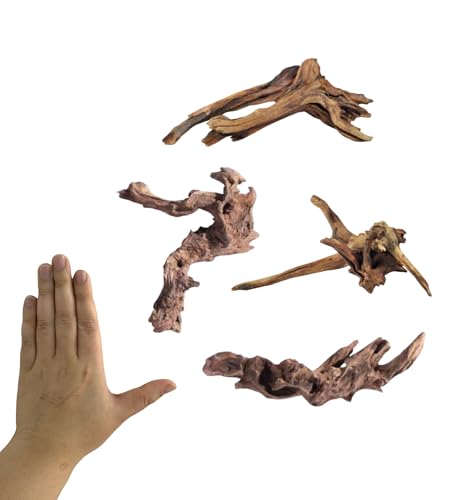 Small Natural Driftwood for Aquarium Styling Carefully Selected Natural Aquarium Decor Driftwood for Reptile Tank Reptile Tank Wood Decor (Driftwood 6-7inch 4pcs)