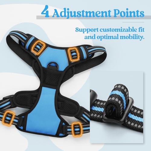 Dog Harness No Pull for Small Dogs with 2 Leash Clips (Small / Blue)