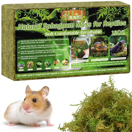12 OZ Sphagnum Moss for Reptiles (12OZ)