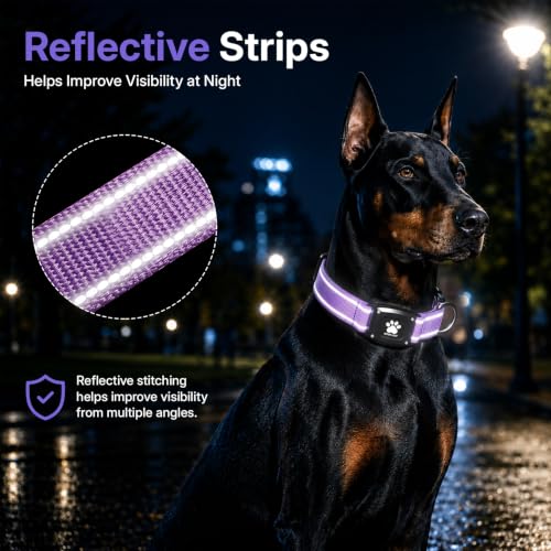 GPS Dog Collar with Tracker (Purple / M(14.5''-19.5''))
