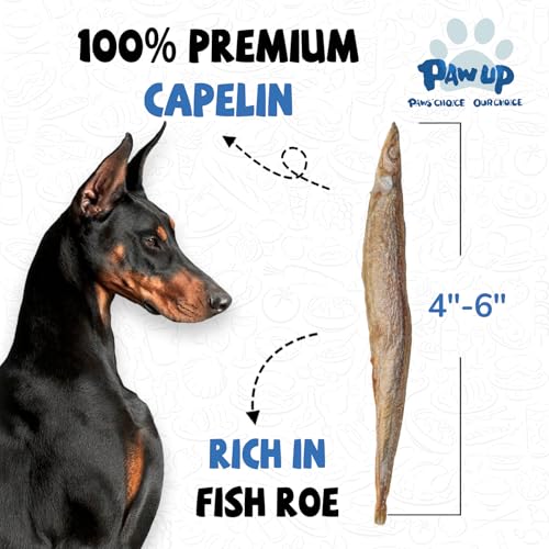Freeze Dried Capelin with Roe Dog Treats