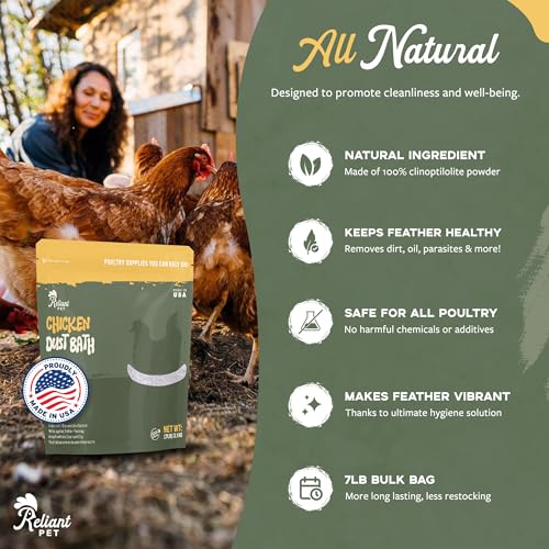 Chicken Dust Bath