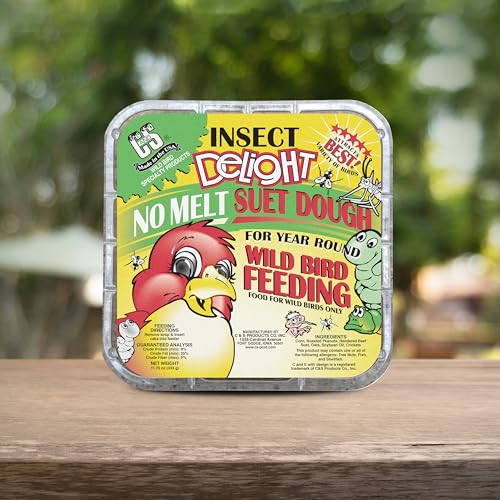 Insect Delight No Melt Suet Dough (1.47 Ounce (Pack of 8) / Insect, 8 Pack)