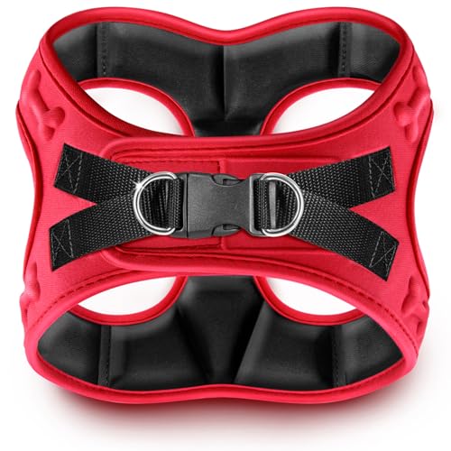 Comfort fit Step (L+ (Chest 21"-23") / Red)