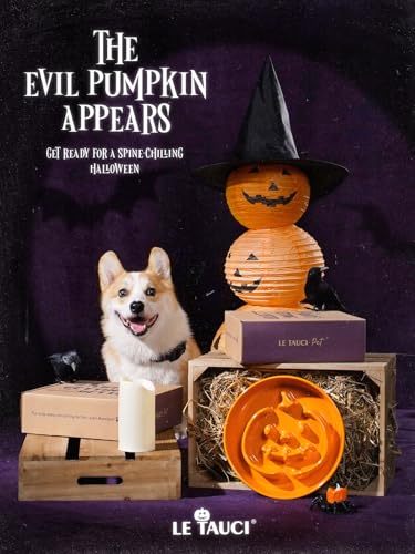 Ceramic Slow Feeder Dog Bowl for Medium & Large Dogs (Pumpkin Orange / L-3 Cups)