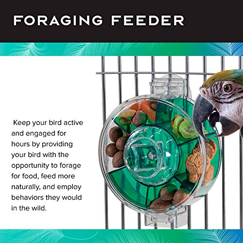 Creative Foraging Systems Foraging Wheel (Giant)