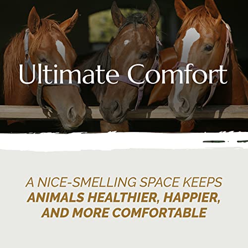 Hemp Bedding 44 lb (Pack of 1)
