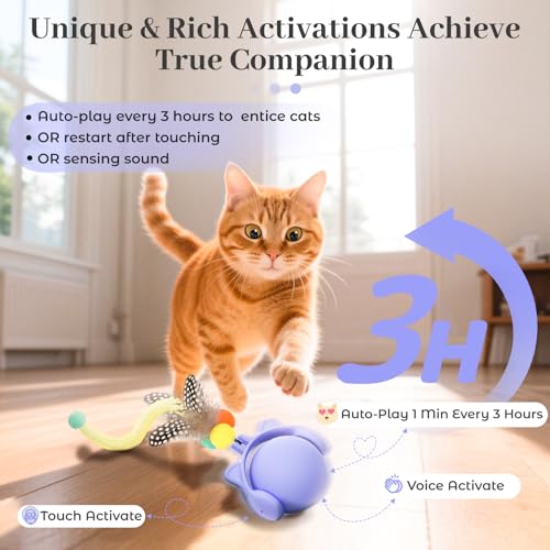 Cat Toys for Indoor Cats (Periwinkle)