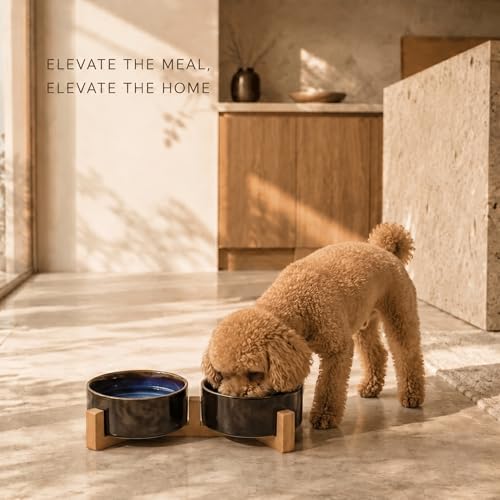 Ceramic Dog and Cat Bowl Set with Wooden Stand (1.7 cups / Starry Blue × 2)