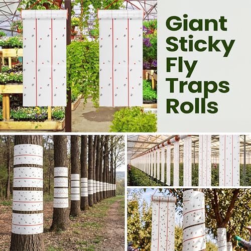 2 Pcs Giant Flypaper Fly Traps (White)