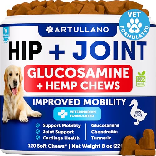Hip and Joint Supplement Dogs (8 oz)