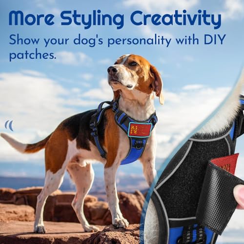 Dog Harness No Pull for Small Dogs (Small / Blue & Black)