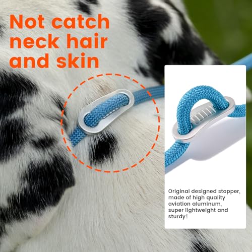 Slip Lead Leash 2 Dogs (MintGreen / w/ Handle)