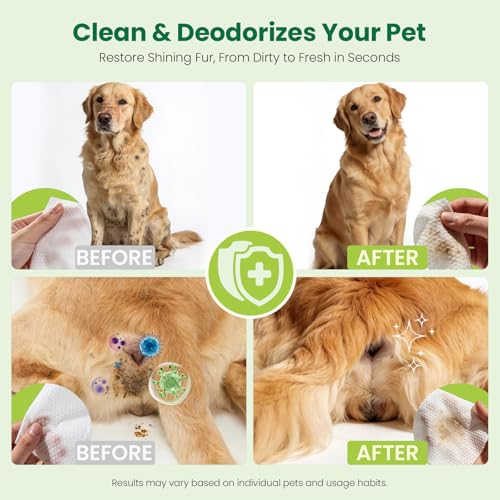 Pet Wipes for Dogs & Cats (1 Box-100 Count)