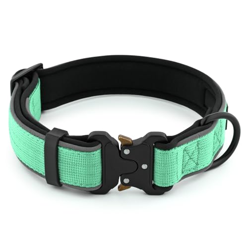 Tactical Dog Collar (L / Teal)