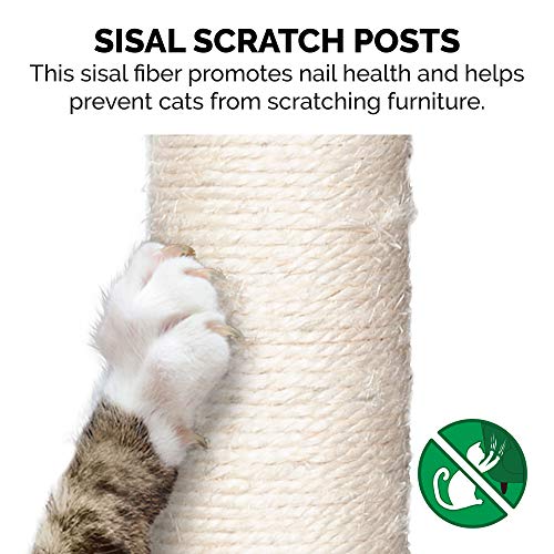 22.5" Tall Cat Tree for Indoor Cats (Cat Tower / Scratching Post Playground (Brown))