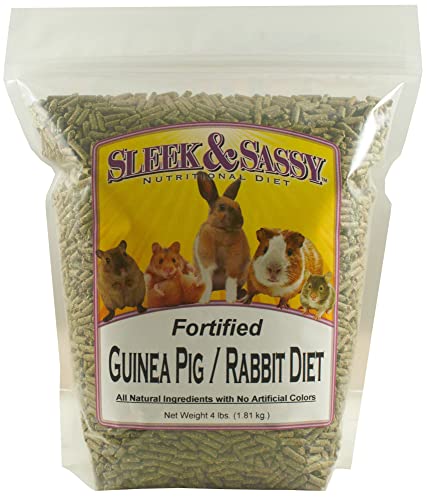 Fortified Guinea Pig & Rabbit Food (4 Pound (Pack of 1))