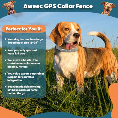 GPS Wireless Dog Fence (Grey)