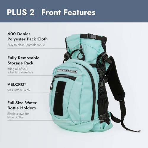 Plus 2 - Large, Summer Mint (Summer Mint / Large)