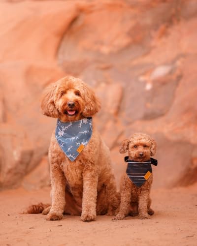 Powell Summer Dog Bandanas X (X-Large)