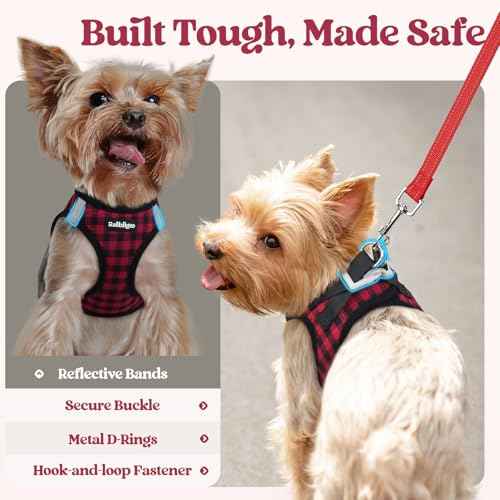 Dog Harness Small Sized and Leash Set (Red Check / Xs (chest: 13.3 - 15.5"))