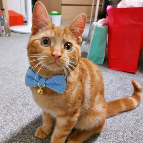 2 Pack Soft Corduroy Cat Collars with Bow Tie & Bell Adjustable Breakaway Kitten Bowtie Collar for Girl Boy Cats (S:Neck 7.0" - 11.0" / Corduroy-Blue Pink)