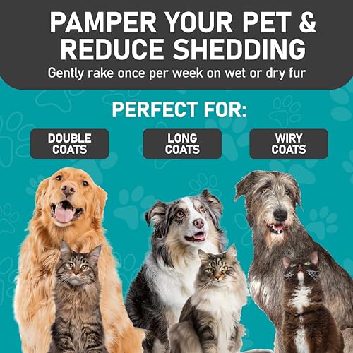 Pet Grooming Rake and Dematting Comb (C - Rake and Comb Kit (Best Value) / Large)