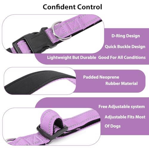 Reflective Dog Collar (Lavender / M:width 3/4"neck 14-20.5")