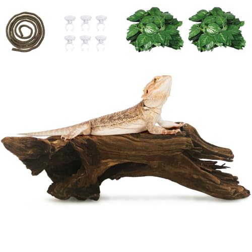 Bearded Dragon Driftwood for Reptile